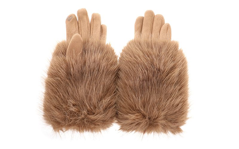 Camel Pinzolo Handschoenen