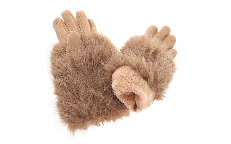 Camel Pinzolo Handschoenen